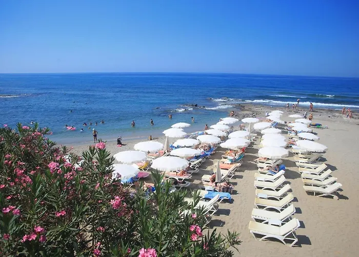 Hotel Simply Fine Alize (adults Only) 4*